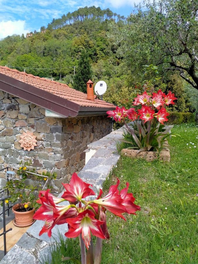 5 Terre - B&B La Giuditta - La Spezia Luaran gambar